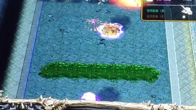 马尔维加斯的魅力