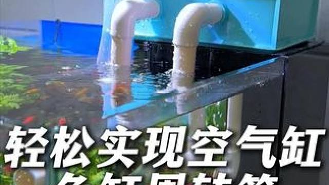小鱼缸也能养成空气缸，2层到5层周装箱可以根据需要自行叠加！ #鱼缸周转箱过滤  #周转箱过滤 #周