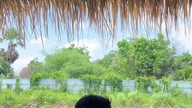 乡村生活乐趣多 #我的乡村生活 #优质农产品 #原创视频 #农村美食记录生活