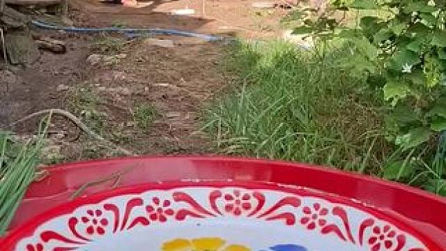 泰国美食 #我的乡村生活 #原创视频 #农村美食记录生活