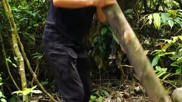 #大自然的馈赠 #我的乡村生活 #荒野求生 #荒野生存