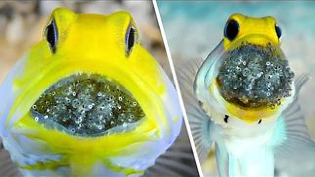 我发布了一个新视频，快来围观吧！