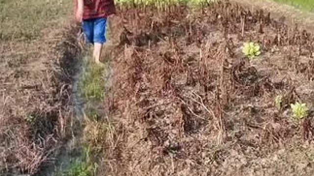 我发布了一个新视频，快来围观吧！