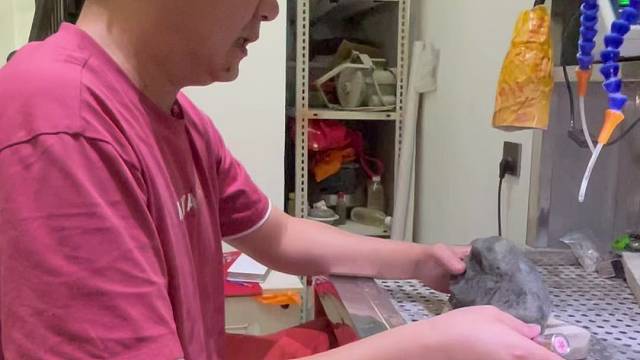 一块满色牌子多处开窗的料子