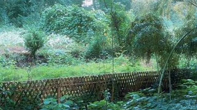 #天然氧吧 #回归自然 #西溪南 #黄山 #安徽
西溪南古村落 快剪