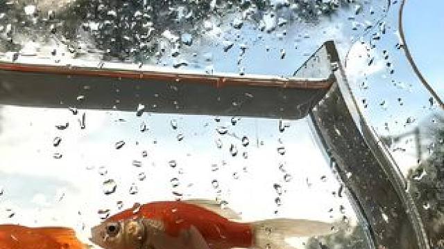 给女儿买的这一套新中式汉服套装，真的舒服的都不想脱了，软软糯糯的面料，冰冰凉凉太适合夏天了，而且新中