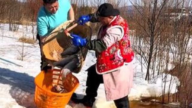 #原来抓鱼也可以很轻松