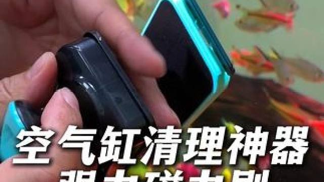 家里有空气缸的鱼友，这个双面强力磁力刷就是为空气缸设计的！ 连缸底都能给你刷的干干净净！安排！#空气