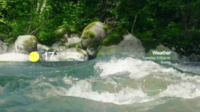 “生命不泯灭于泛泛，我在绿意里重生.”