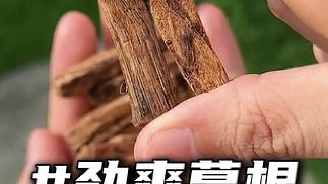 冰爽耐嚼不扎嘴，口感细腻，越嚼越有味!#葛根 #剧情 #润喉#兄弟情 #弗雷尔卓德