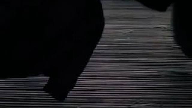 谁懂这个古风群像一下呢？！ #怀刃 #配音 #猫耳fm