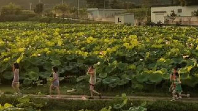 每代人都有自己的专属记忆啊#童年回忆 #大数据推荐给有需要的人 #娱乐评论大赏