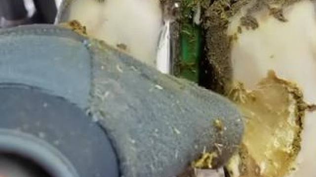 开幕就是暴击，牛蹄瞬间释放压力#解压 #修牛蹄