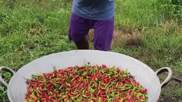 东南亚大叔‍♂️野外野餐 #美食制作分享 #创作者扶持计划 #我的乡村生活 #农村美食