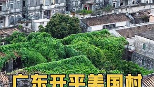 广东开平永安里，全村百年前突然移民美丽国，唯留数十栋豪宅历经百年沧桑无人居住。#广东的奇葩建筑盘点 