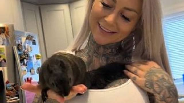 美女的宠物松鼠️ #国外视频分享 #奇妙的动物 #宠物