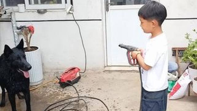 #小狗 #毛孩子的日常 #狗狗 #