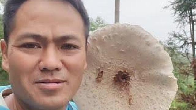 超级大蘑菇#本地特色菜 #蘑菇 #今天运气好