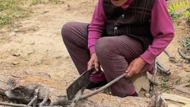 豫西窑洞人家，冬暖夏凉，没有车贷，没有房贷，一日三餐，粗茶淡饭，日出而作，日落而息，像这样平淡安逸的