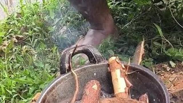 东南亚野菜哥 #我的乡村生活 #原创视频 #创作者扶持计划 #农村美食记录生活