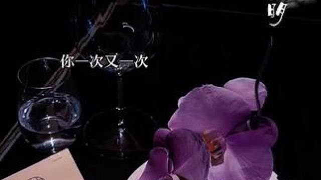 陆溓宁:本来追妻就不容易了，还要雪上加霜！#广播剧 #暗河长明