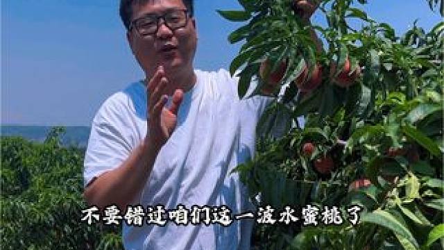 新农人计划2025~