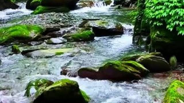 余生很短，一定要去爱一个“一见你”就笑，“一见”你就笑的人，最浪漫的遇见就是，你刚好抬头，他刚好转身