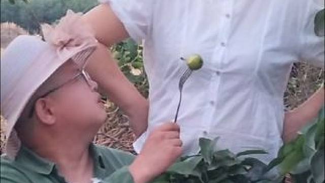 小尚一个人在果园偷吃，静静回家又给他安排一顿丰盛的晚餐#我的乡村生活 #优雅永不过时 #吃出仪式感 