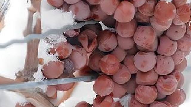 无限回购的宝藏单品~