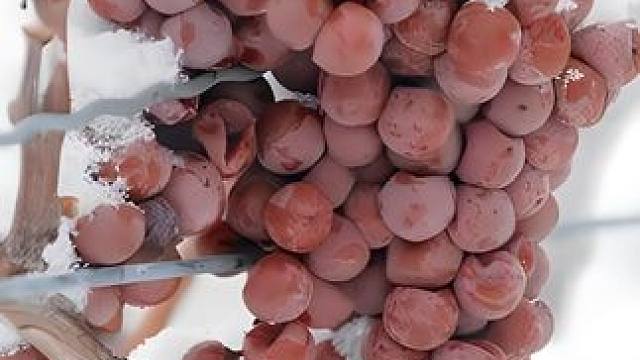 三哥的美食很好奇，但真的不敢吃啊 #冰葡萄汁 #冰白葡萄汁 #白马浪冰葡萄汁 #无限回购的宝藏单品 