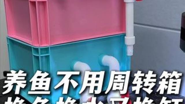 养鱼不用周转箱，换鱼换水又换缸！ #周转箱 #周转箱过滤 #水族用品 #养鱼日记 #鱼缸过滤