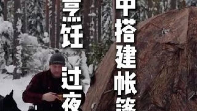 雪林中搭建帐篷露营  烹饪   过夜 #野外生存#户外生活#极度舒适#荒野独居#荒野生存