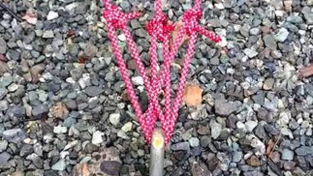 板正 #露营报告