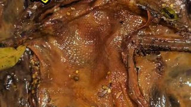 又完成一道美食的制作 真是太美味了！ #酱板鸭#秘制卤味#原创视频#双凤