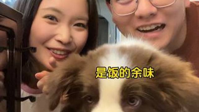 一起带小狗看看它平时都看不到的地方 #vlog日常 #情侣日常