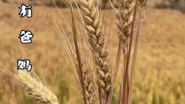 我们一生追求的幸福，不在过去，也不在为来，就在当下，眼中景，碗中餐身边人… ……..为什么很多老人，