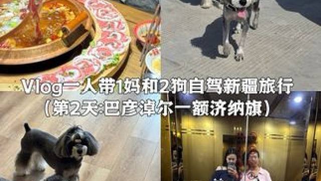 Vlog.230｜一人带1妈和2狗自驾新疆旅行 带着老妈和小狗河北出发自驾去新疆的第二天：赶路的一天