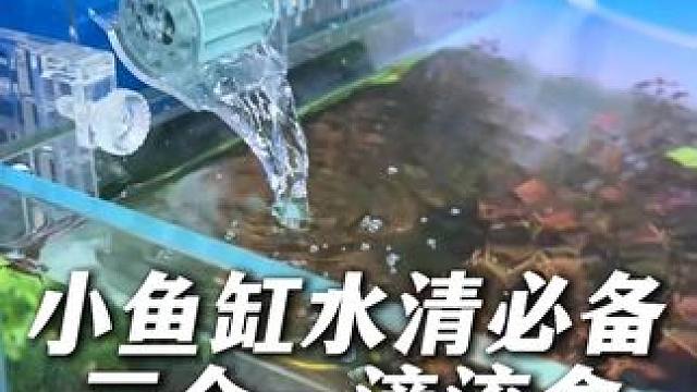 小鱼缸清水必备，三合一滴流盒，非常适合60以下的鱼缸！ #鱼缸过滤系统 #鱼缸过滤 #养鱼日记 #滴
