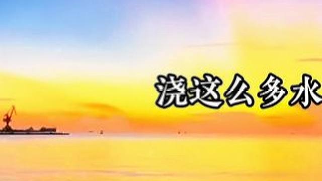 陆溓宁划烂了自己的x体，橙子味信息素变成了苦橙味…… #暗河长明