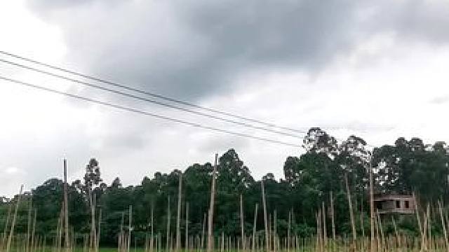 #小仙女都在喝什么