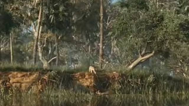 我发布了一个新视频，快来围观吧！