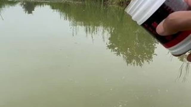 这穿透力怎么样#钓鱼人就是这么疯狂 #钓鱼的乐趣只有钓鱼人懂 #钓鱼 #测试 #钓鱼技巧