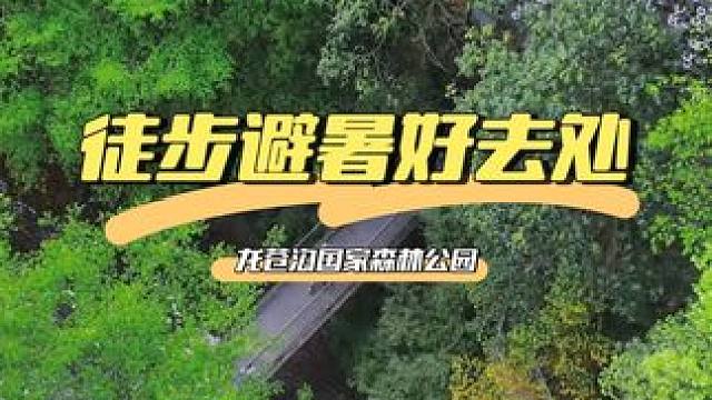 6月徒步开启，绣球花开始绽放啦，快带上小伙伴一起来～#龙苍沟森林公园 #徒步旅行 #很哇塞的周末 #
