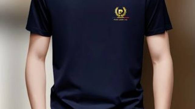 2025夏季新款皮尔卡丹商务休闲圆领短袖T恤 #夏季新款 #短袖t恤 #谁穿谁好看 #百搭t恤 #透气舒适