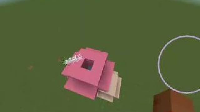 #我的世界 #Minecraft