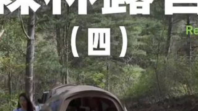 森林露营（四）森林里什么都有，又什么都没有~#露营 #助眠 #解压 #汽车露营 #户外露营