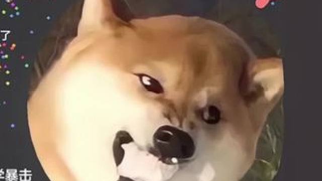 ？？？#球球大作战 #球球大作战小游戏 #球球霸屏挑战 #球球大作战VR