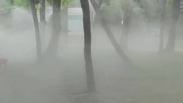 #天然氧吧 #生态公园 #清凉一夏