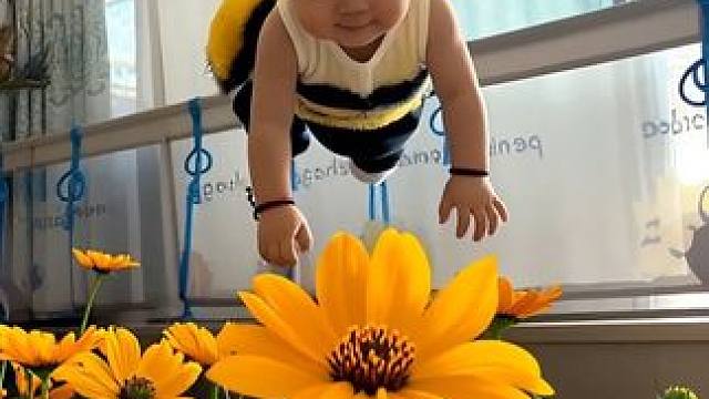 #有只小蜜蜂在我家bebebe #别眨眼我要变身了 #有点意思 #小宝 #小盆友 再见了妈妈，今晚我