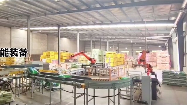 #袋料码垛机器人